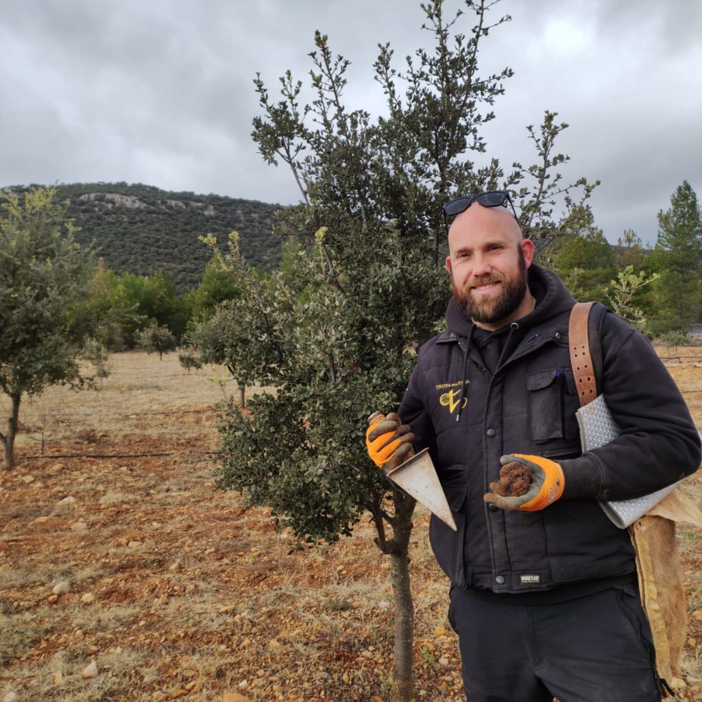 Recogiendo Trufas en las fincas de Trufa de la Vega