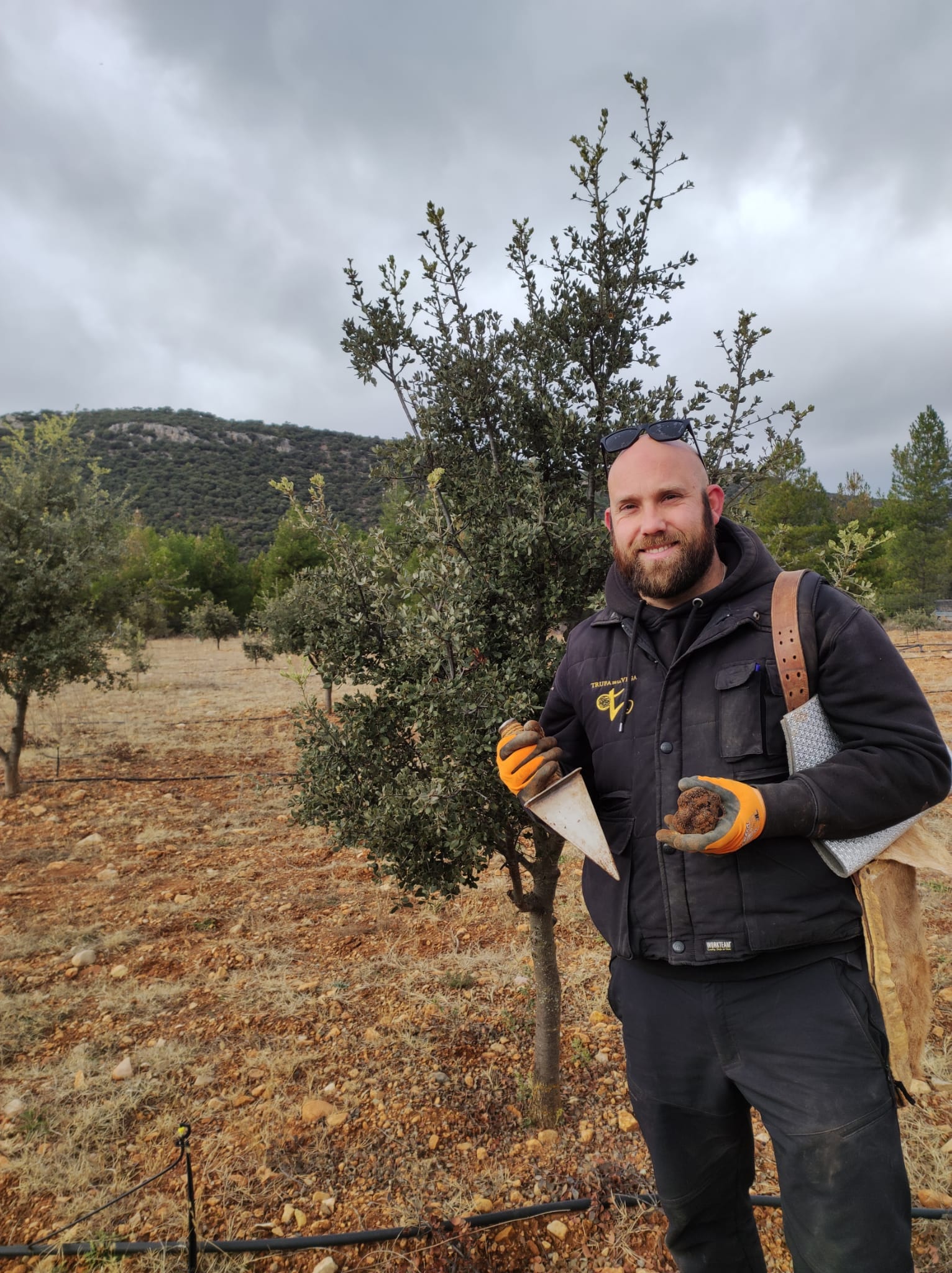 Recogiendo Trufas en las fincas de Trufa de la Vega